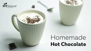 Homemade Hot Chocolate Recipe: Naturally Sweetened Hot Cocoa | DIY Natural