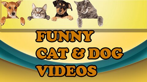 FUNNY VIDEO CAT & DOG || TRY NOT TO LOUGH || #cat #funnyvideo