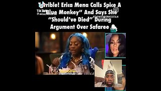 Erica Mena was fired from Love and Hip Hop for calling Spice a racial slur