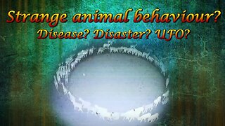 Animals walking in circles. What is going on? Signs of disease, end of time, UFO?