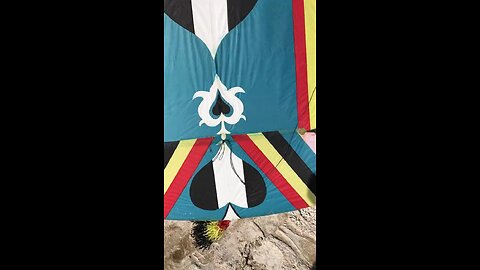 Patang Bazi Kite Flying Patang Video