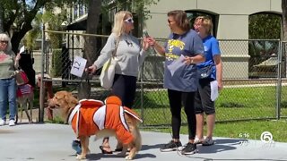 Mutt March returns in-person to Stuart