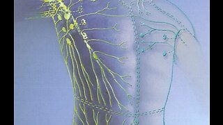 Lymphatic Cleaning With Kate Shemirani