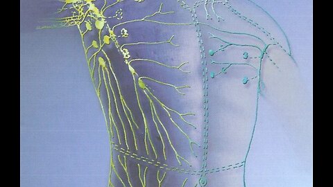 Lymphatic Cleaning With Kate Shemirani