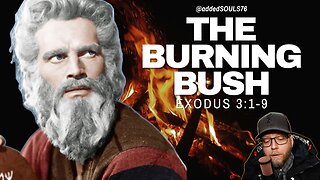 🔥 Unforgettable Encounter: Moses' Burning Bush Adventure! 🔥