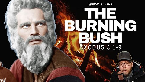 🔥 Unforgettable Encounter: Moses' Burning Bush Adventure! 🔥