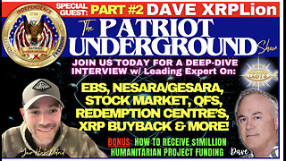 Dave XRPLion Interview #2