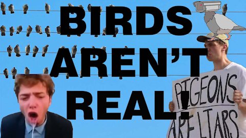 Birds Aren't Real!