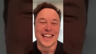 Elon Musk Vs Twitter Bots
