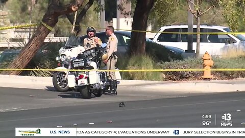 Pedestrian dead after being struck by vehicle on Flamingo Road