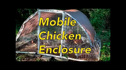 Mobile backyard chicken enclosure