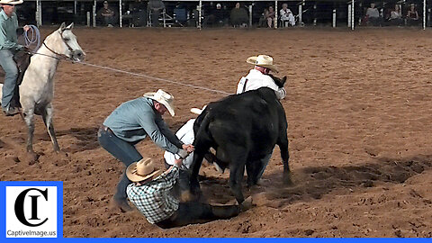 Wild Cow Milking - 2021 Saint's Roost Ranch Rodeo | Saturday