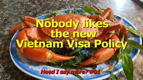 Nobody Likes the New Vietnam Visa Policies -- {Travel}