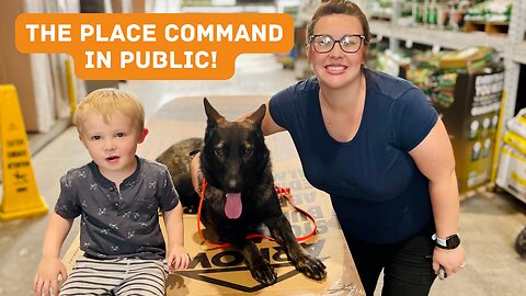 Teaching The Place Command in Lowe's | Expert Dog Training