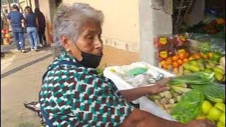 Street and Local Markets - Tizapan, Mexico City (CDMX)