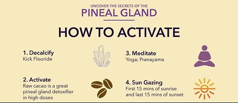 Decalcify your Pineal Gland NOW!