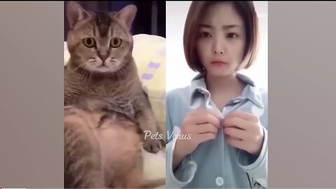 FUNNY CATS and DOGS 🐱🐶 & other ANIMALS 🐾 New Funniest Animals Videos 2023 😂