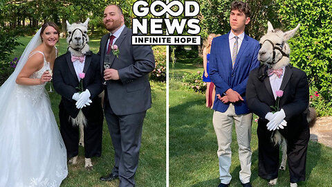 GOOD NEWS - Infinite Hope # 142