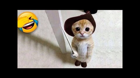 World Best Funniest🤑 Cat vs animal vs Kid 😃 Entertainment Don't Try Laughing 🤣 2024 clips 🫡