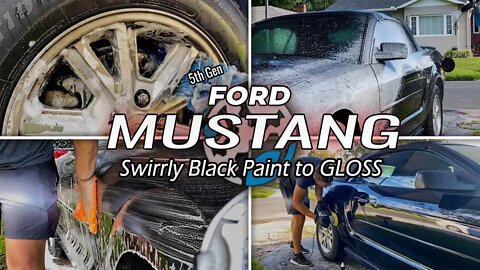 Ford Mustang | ROUGH Black Paint, Polished to a Glossy Finish! | Black Paint Being REVIVED & Coated!