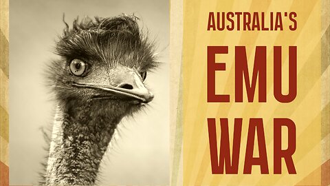 The Great Emu War of Australia: A Feathered Fiasco