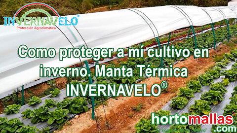 Como proteger a mí cultivo de las heladas. Manta térmica INVERNAVELO®