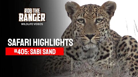 Safari Highlights #405: 03 - 05 May 2016 | Sabi Sand Wildtuin | Latest Wildlife Sightings