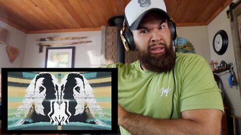 Polaris - THE REMEDY [Official Music Video] REACTION!!!