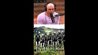 Joe Rogan podcast clips part 12