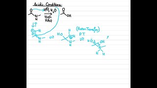 Reacting with amides under acidic conditions