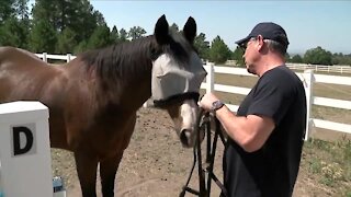 Denver7 Everyday Hero helping veterans and first responders heal through horse therapy