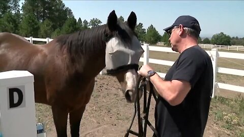 Denver7 Everyday Hero helping veterans and first responders heal through horse therapy