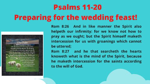 Psalms 11-20. IT IS IMPOSSIBLE TO UNDERSTAND DENOMINATIONAL BIBLES OF THE SPIRITUAL DARK AGES.