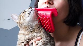 3 Purrrfect Pet Products for Cat Lovers