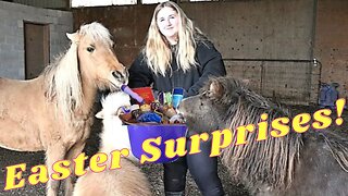 Easter Surprises For The Horses!