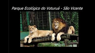 Parque Ecológico do Voturuá em São Vicente