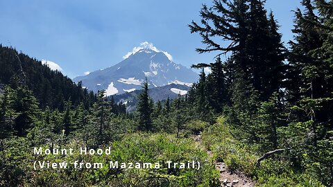 Magnificent Majestic Views of Mighty Mount Hood FROM Mazama Trail! | Timberline Loop | 4K | Oregon