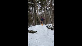 Tree gap snowboarding