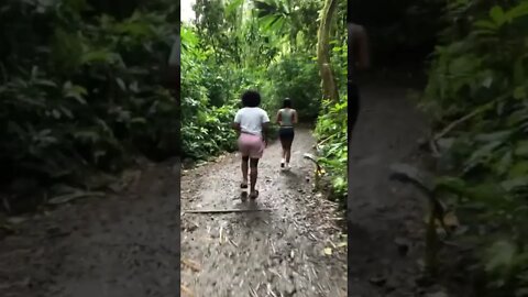 Hiking Manoa Falls Hawaii #shorts #video #hiking #hawaii #saolao #blasianfamily #realtor #life