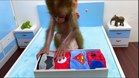 Monkey Baby Bon Bon Turns Into a Superheroes | Puppies Become a Delivery Man, funny animal video