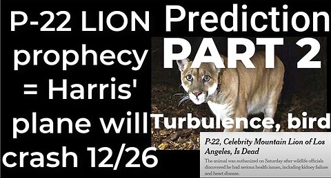 PART 2 - Prediction- P-22 LION prophecy = Harris' plane will crash Dec 26