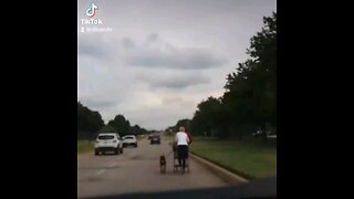 A woman blocking a lane of traffic with her dog minding her own business.