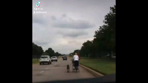 A woman blocking a lane of traffic with her dog minding her own business.