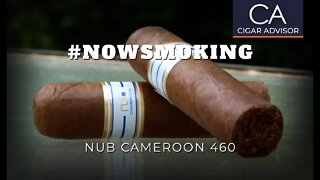#NS: Oliva Nub Cameroon 460 Cigar Review