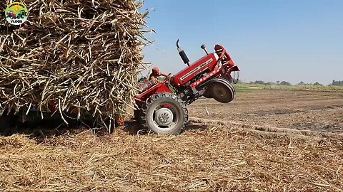 Mf260 tractor stuck in sugarcane field