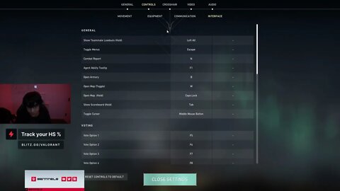 TenZ Valorant Settings