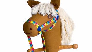 3 Fun Tips to Ride the Hobby Horse Revolution