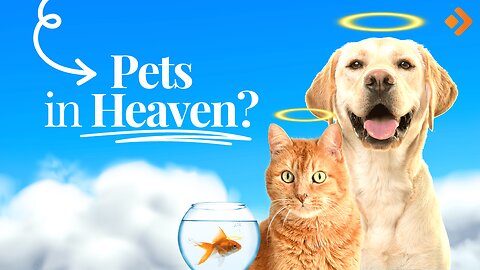 Will Our Pets Be In Heaven?