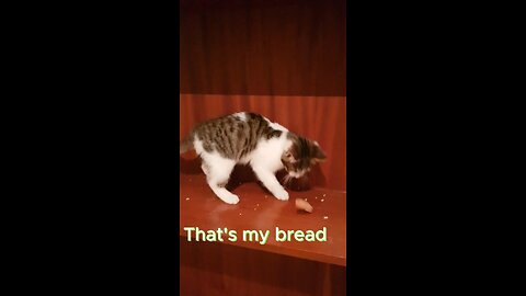 That's my bread