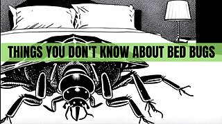 Bed Bug Facts